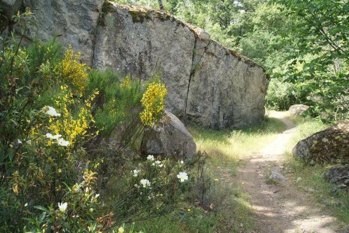 Casa Rural Cabeza Lobera Villanueva de Ávila Kültér fotó